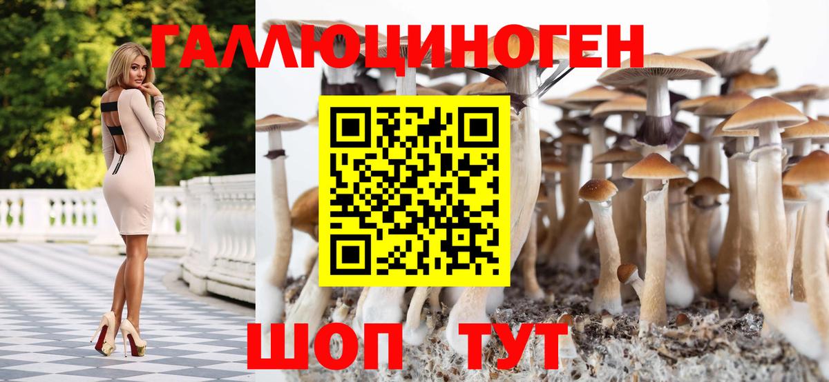 Галлюциногенные грибы Psilocybe  Вход с VPN  хочу   Псилоцибиновые грибы мухоморы  Мелеуз 