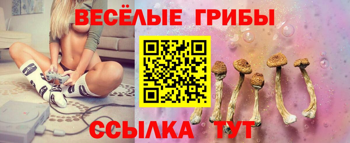 Галлюциногенные грибы ЛСД Мелеуз